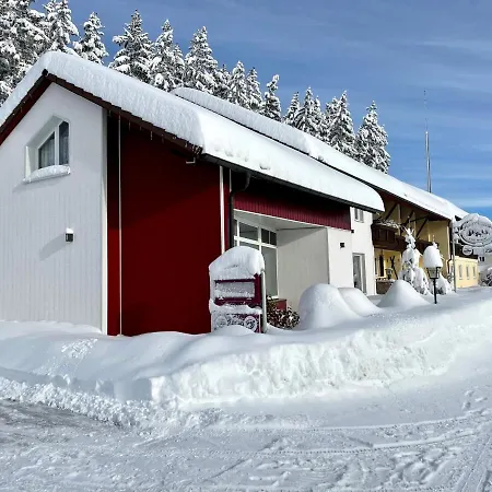 Charlott Hotell Eisenbach (Breisgau-Hochschwarzwald)