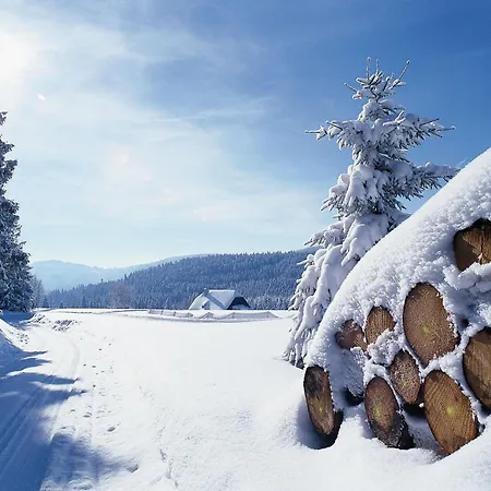 Charlott 3* Eisenbach (Breisgau-Hochschwarzwald)
