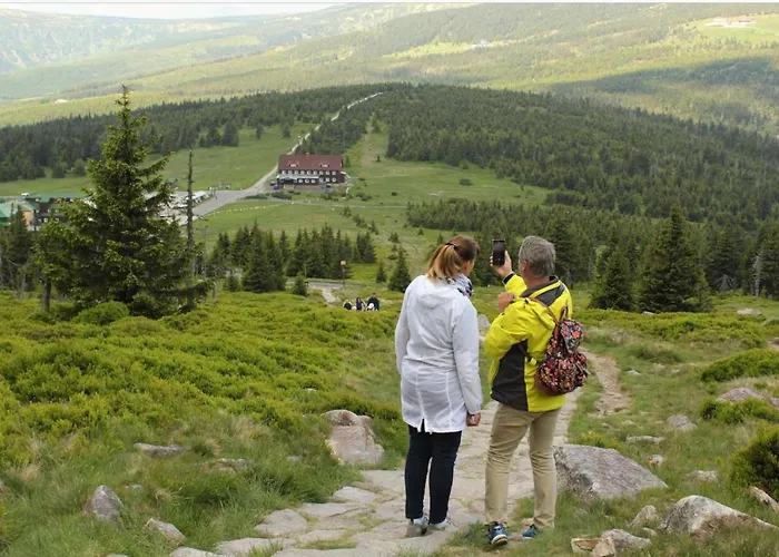 Hotel Charlott Eisenbach (Breisgau-Hochschwarzwald)